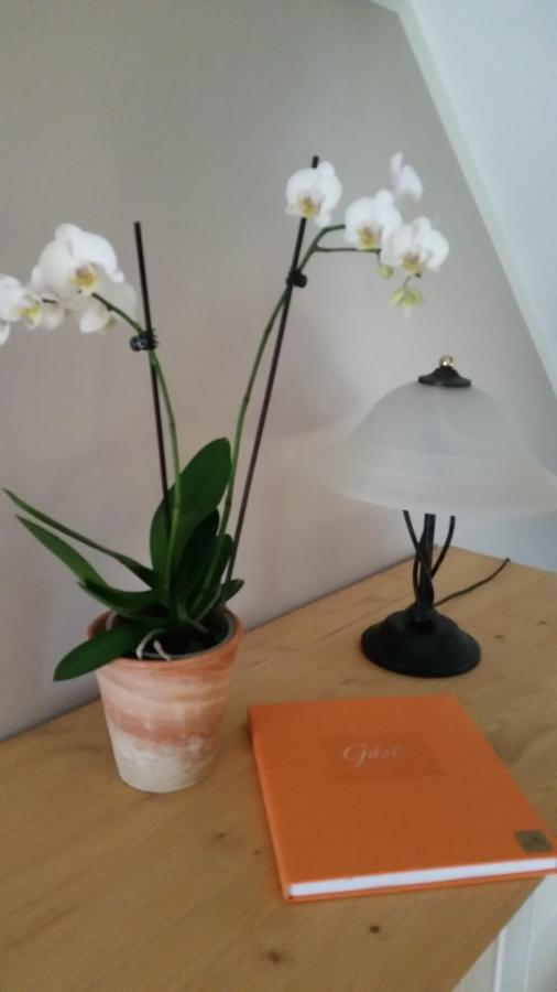 Ferienwohnungen Dirk Laurisch Radensdorf 外观 照片