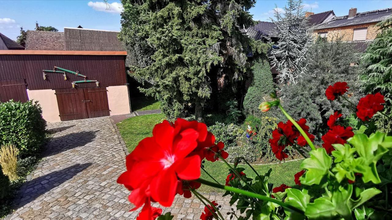 Ferienwohnungen Dirk Laurisch Radensdorf 外观 照片